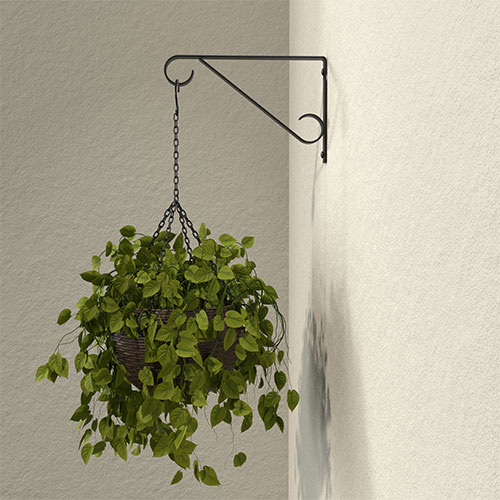 Hooks for Hanging Plants on Wall: Stylish Ideas to Transform Spaces