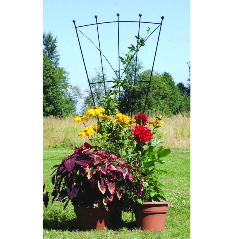 Haven Fan Trellis Peak Products (Canada)
